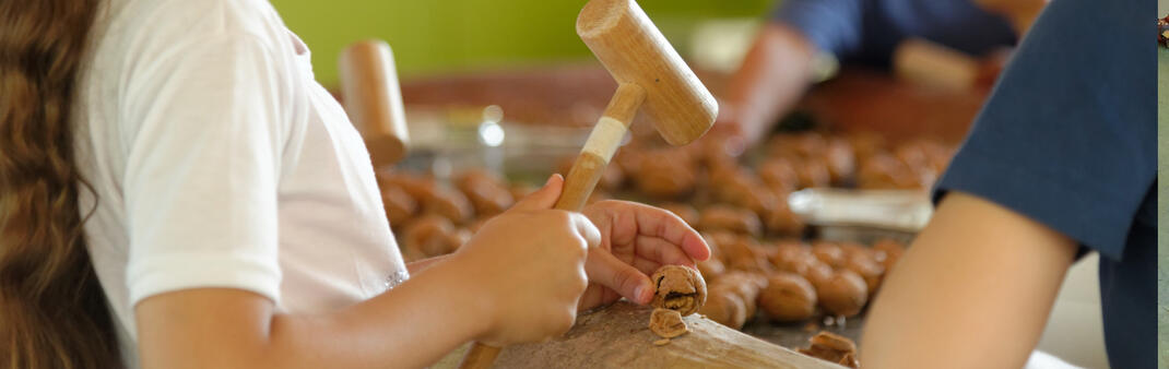 Culture_Grand-Sechoir_LARGE_2025-26 Culture_Grand-Sechoir_LARGE_2025-26