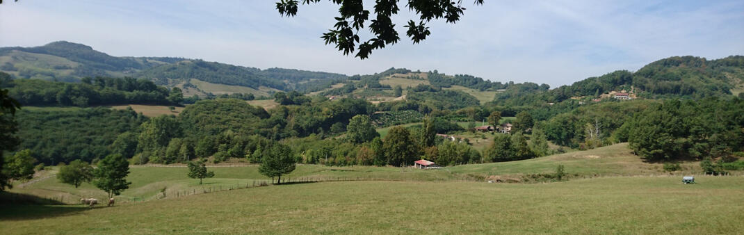 Citoyennete_Charte-Foret_LARGE_2025-26 Citoyennete_Charte-Foret_LARGE_2025-26