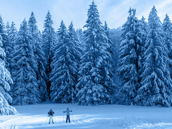 Sport_Coulmes_vignette_2025-26