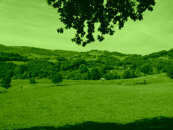 Citoyennete_Charte-Foret_vignette_2025-26